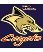 Coyote